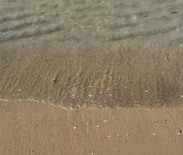 Sea View 아파트 *